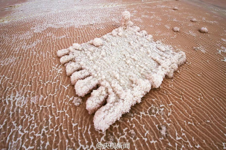 [Image: sa-mac-hong-2.jpg]