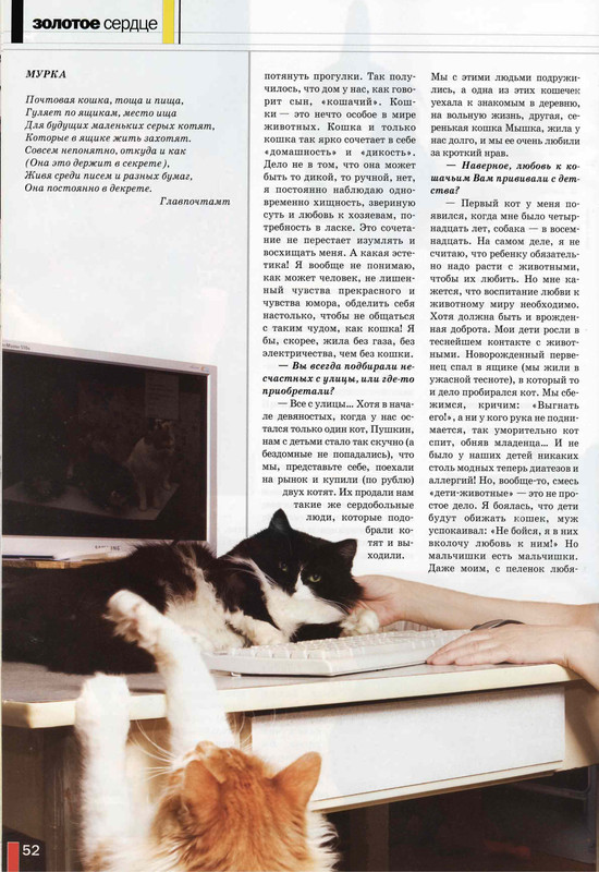 Друг кошек 2008-07-49