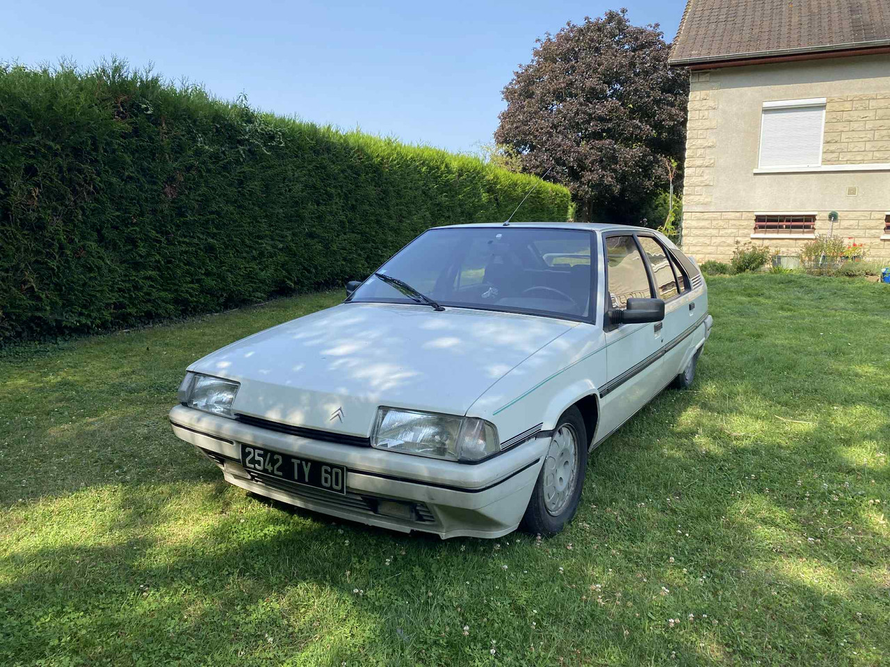 5ab9d90a c42c 49a1 8a56 909e2d457326