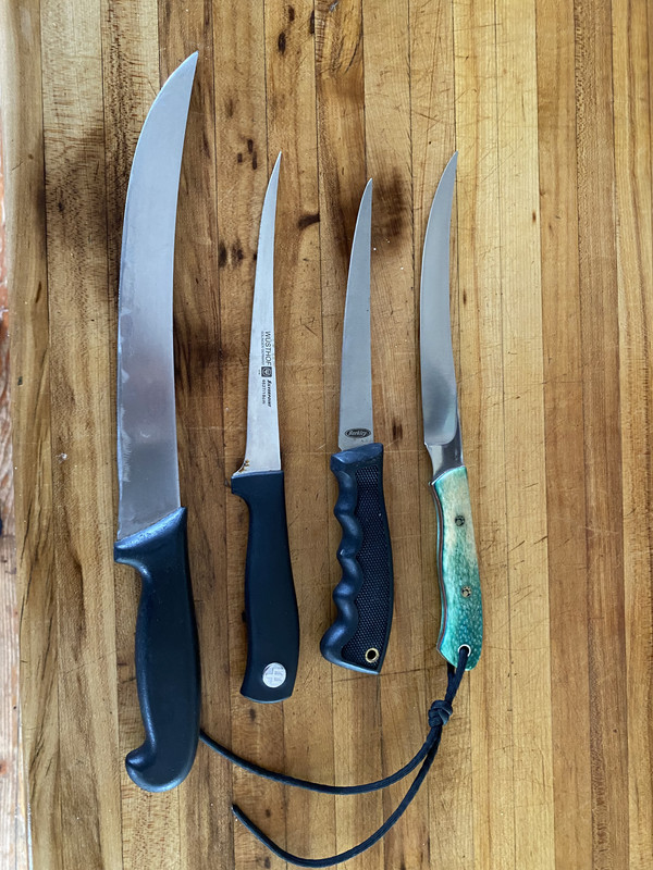 F95251D4-5CD1-4790-BC38-436CD99349BD