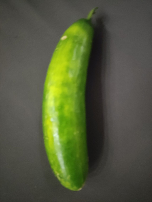 gurke-first.jpg