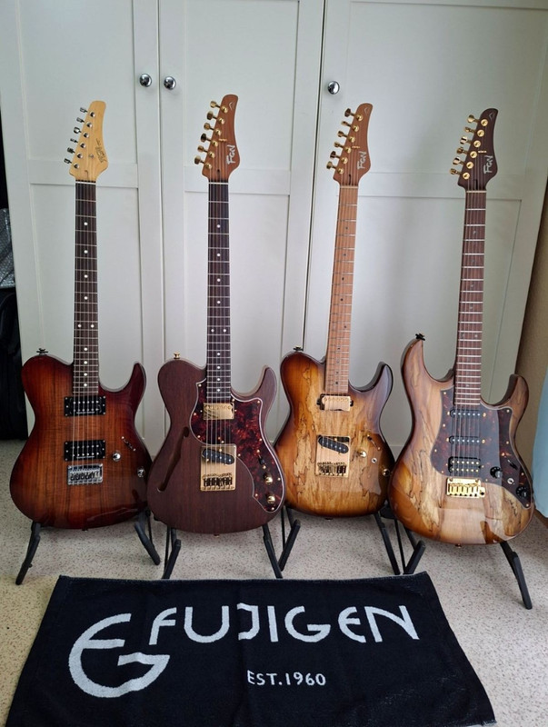 FGN Four-non-Blacks 2026-02 neu