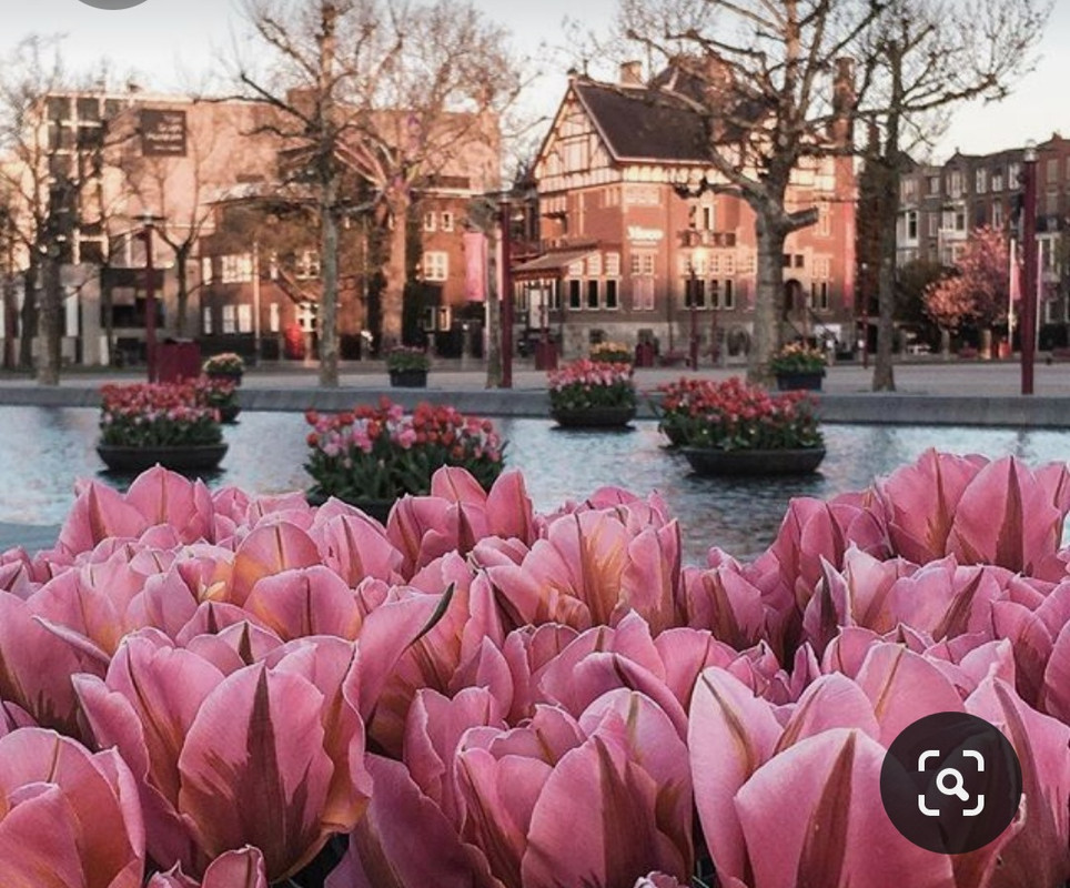 Screenshot_20230402_232938_Pinterest