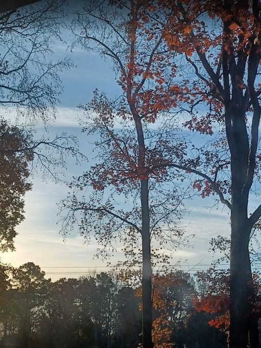 Sunday 16 Nov 2025 7 51AM