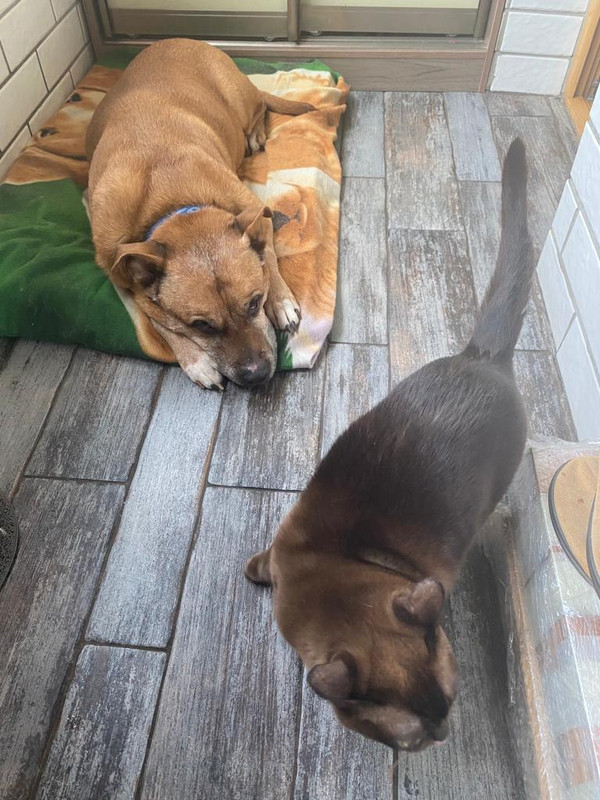 4CBD6515-8F6F-4114-8E8F-823C8A48F62D