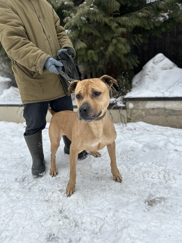 2FB13B76-D855-4ACB-B1E8-3BFF0E468C00