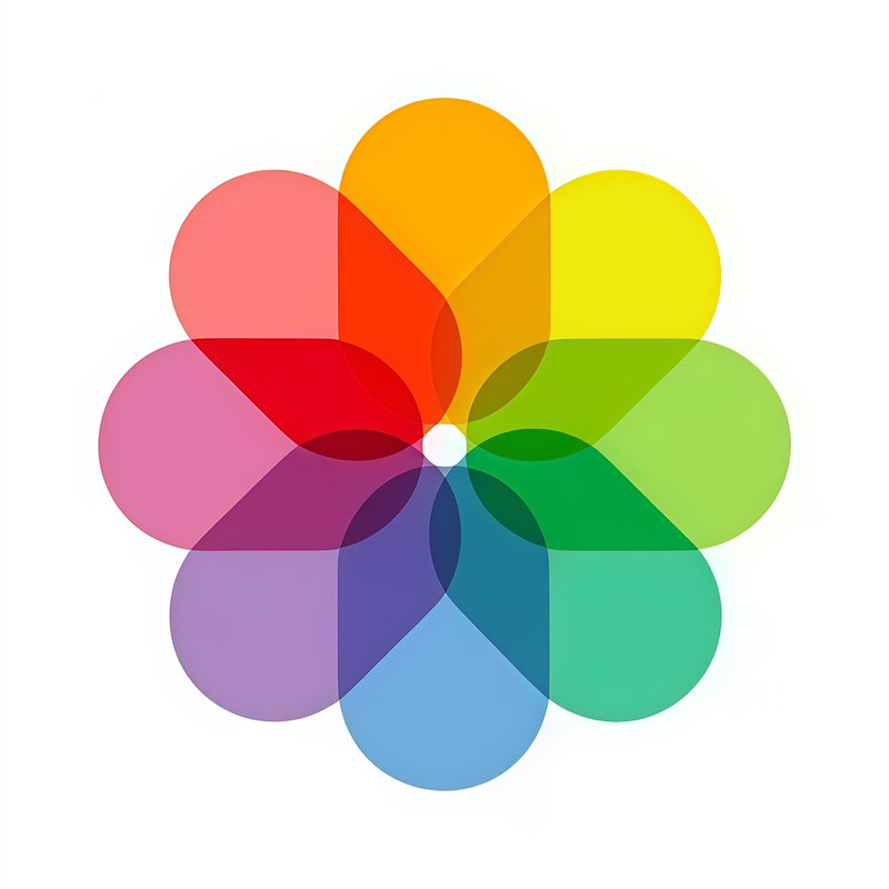 I Phone Gallery 