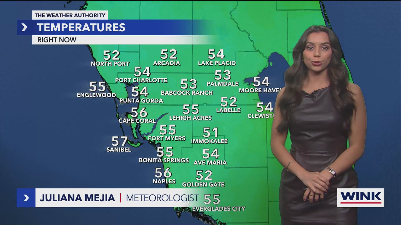 WINK News at 600am_20241223_11001130.ts_snapshot_23.35.513
