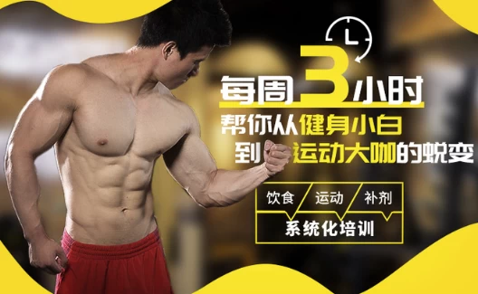 扔掉无效健身！每周3小时，拥有完美身材-时令官IP站