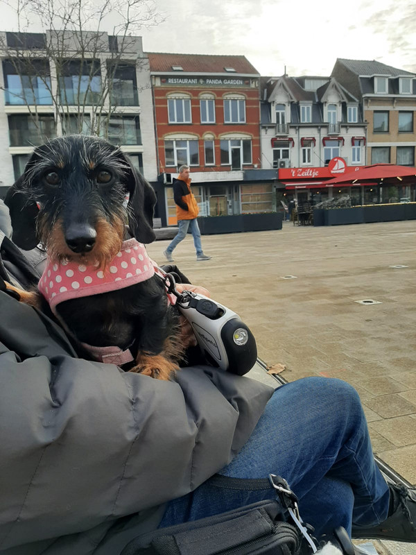 [Image: IMG-20240127-WA0011.jpg]