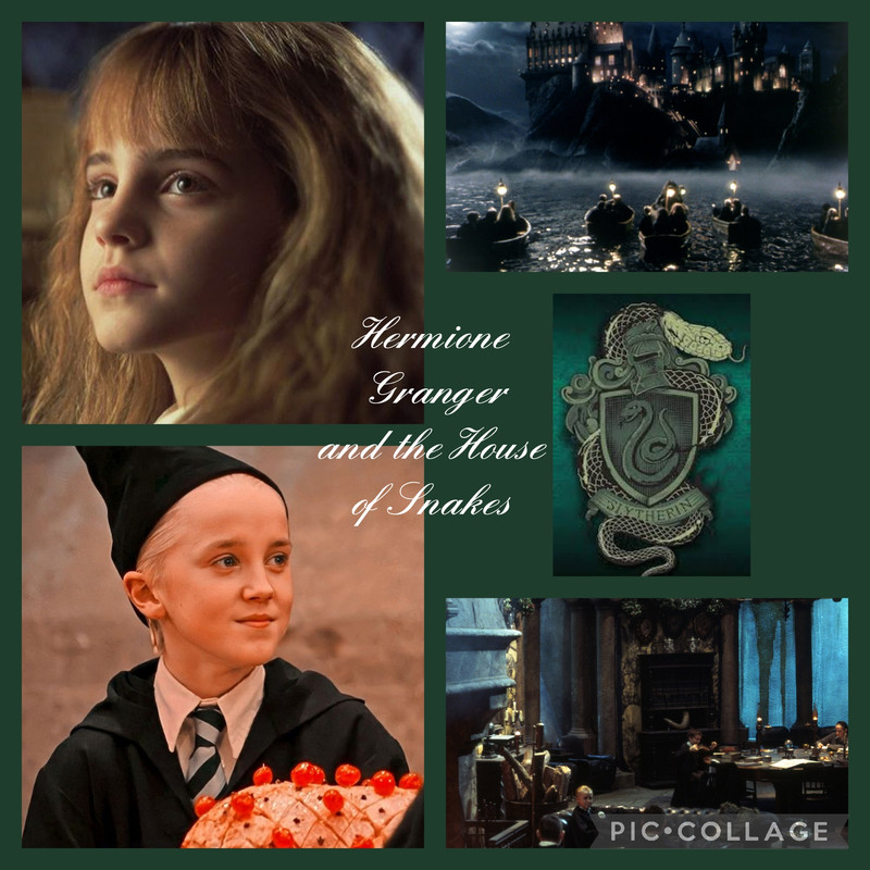 Collage_2024-02-21_20_43_32