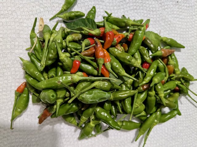 [Image: image000001.jpg]
