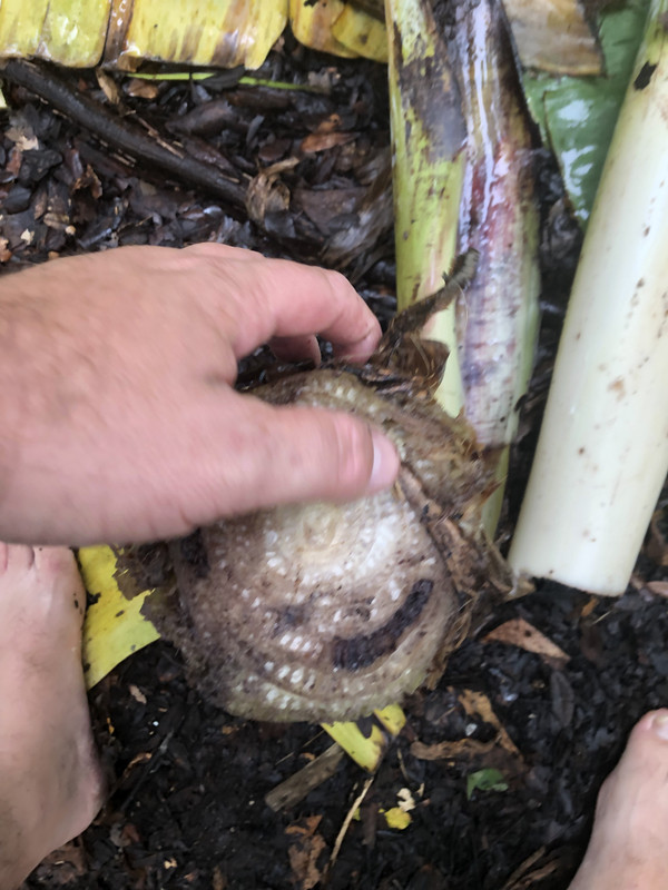 2F5175D5-1468-4449-9A32-D0D7B38F5D3B