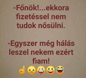 https://i.postimg.cc/FFGnHzvM/fonok-ekkora-fizetessel.jpg