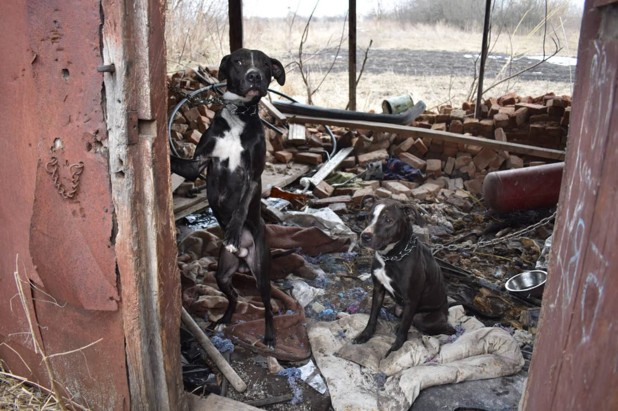 WhatsApp Image 2024-05-14 at 14.51.09 (2)