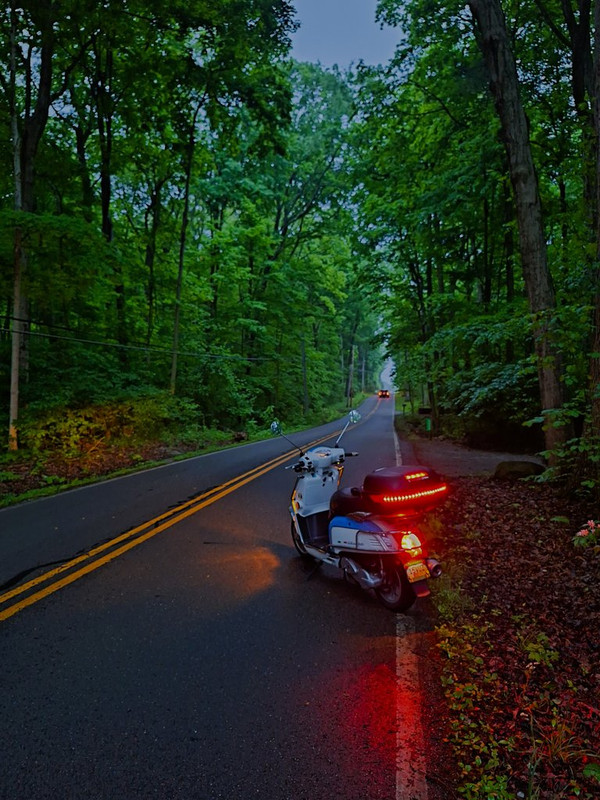 External inline image provided by member with no explanatory text