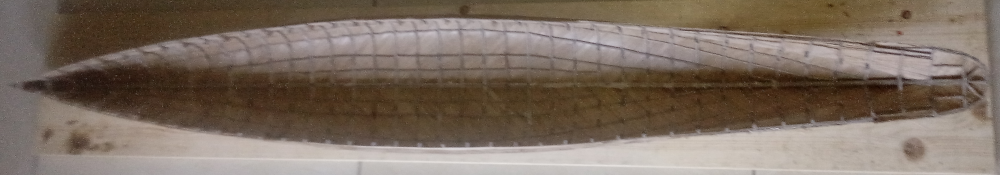 2024-09-09 корпус голый