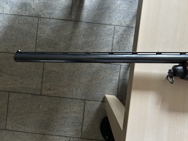 IMG-0743