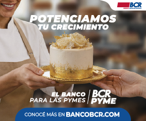 BCR JUNIO 2026