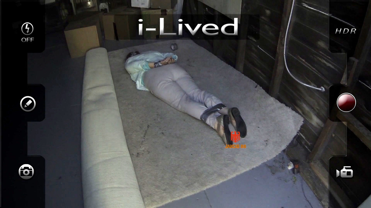 Elaine Partnow - i-Lived 2015