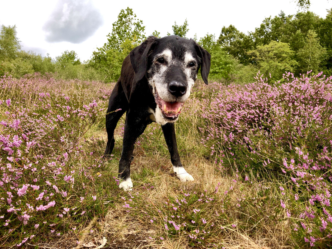 E612FB58-02AF-40E0-B9ED-D002F9F69754