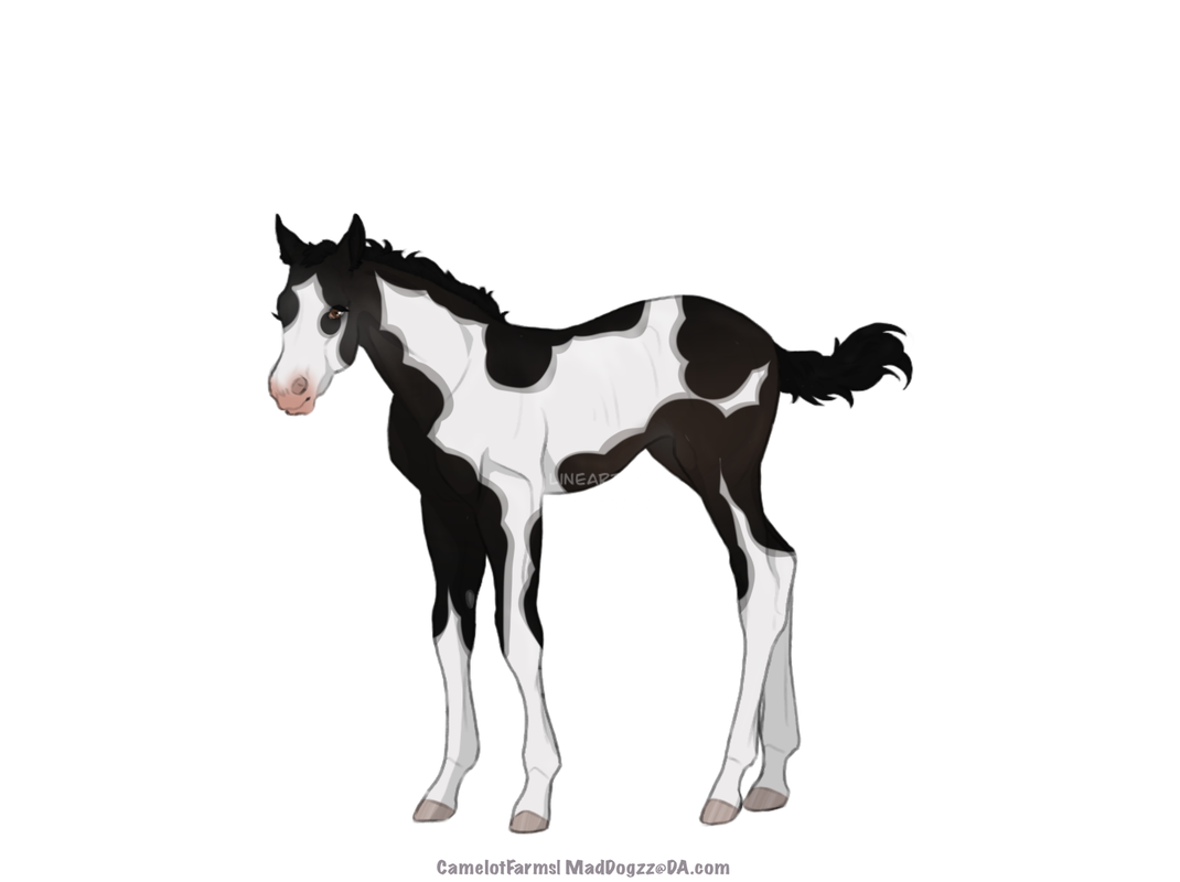 BCD32708-CE85-4AFA-A0A5-41A211F96DCF