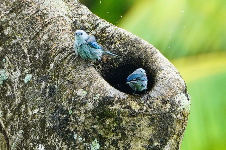 60DA5696-15D2-4993-85B2-F52F8E1E8144