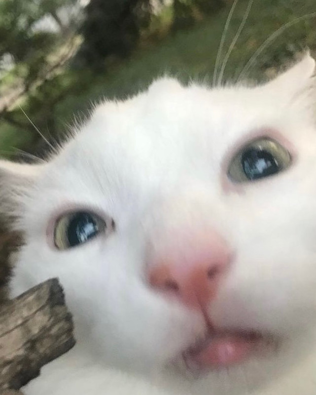 2287E7E3-5A9A-4468-B3C0-F85B27EAC308