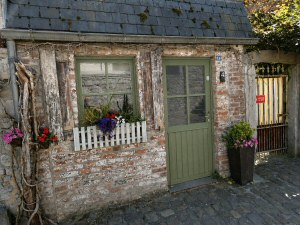 saliegroen.jpg