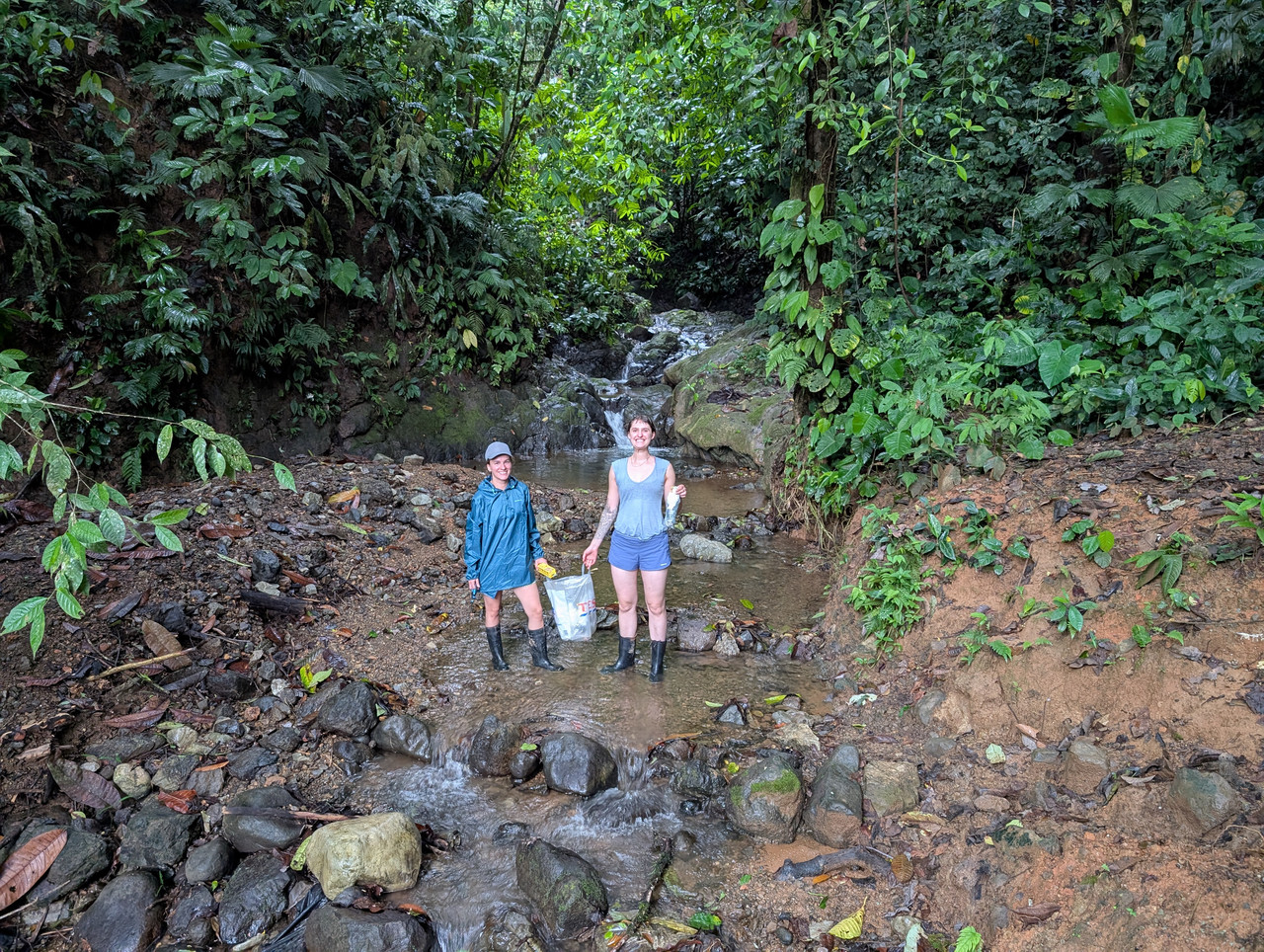 Fieldwork photo 3