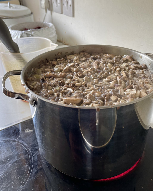 2F45CFF8-0B35-409D-A1FA-74562B2E61C0