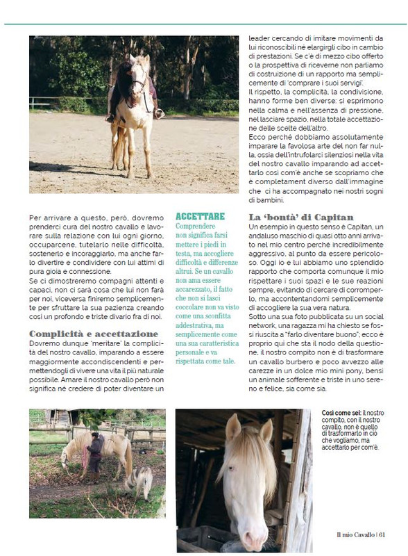 Il Mio Cav (Mar 2023) 12