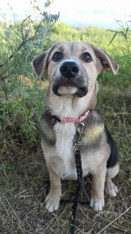 изображение_viber_2022-07-27_17-07-52-926