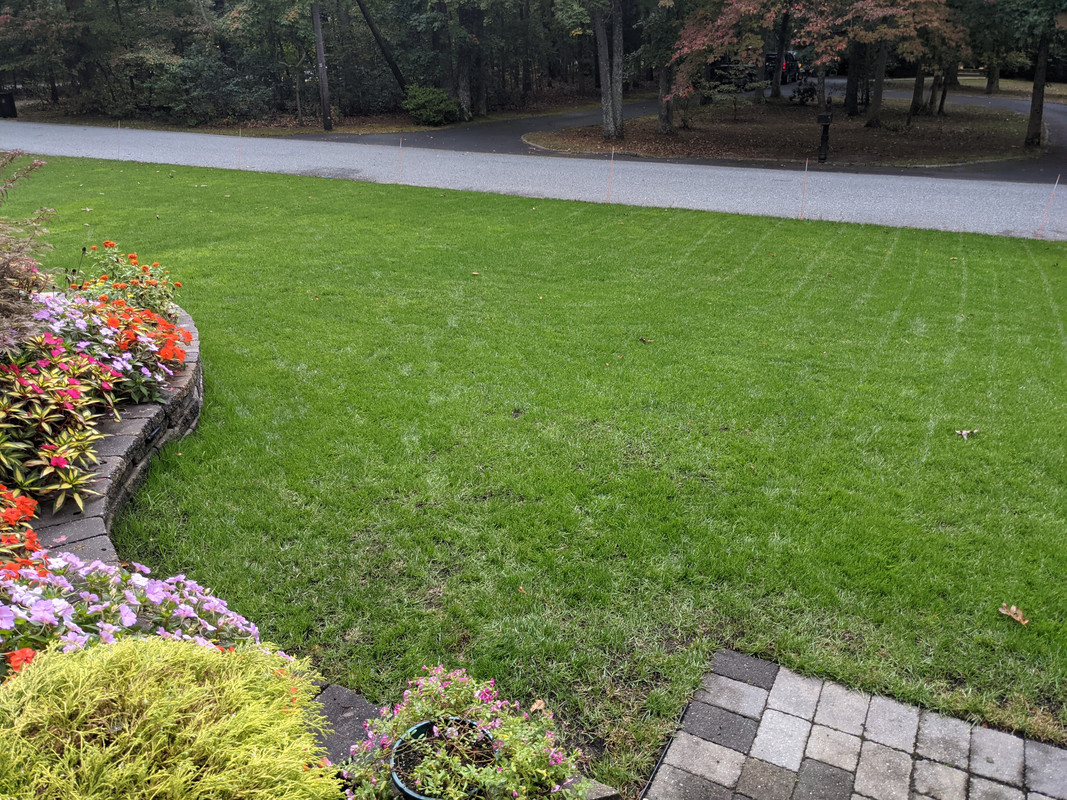 PXL_20211009_165655825