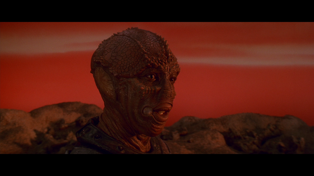 vlcsnap-2023-03-08-19h36m53s191