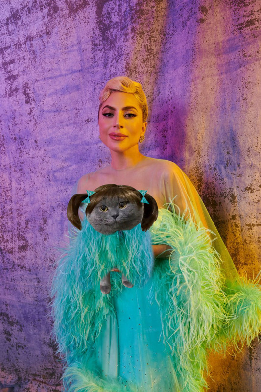 catty.jpg