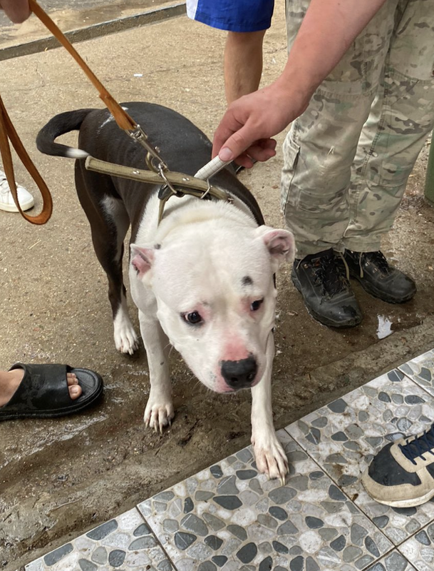 Снимок экрана 2024-06-18 в 18.54.10