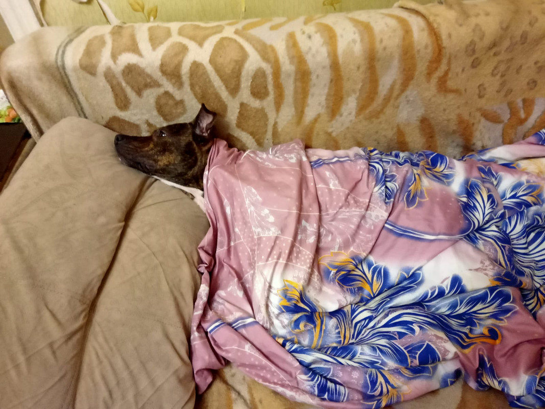 1213E050-6F0A-4233-8FAB-1F4BF8BCAAD3