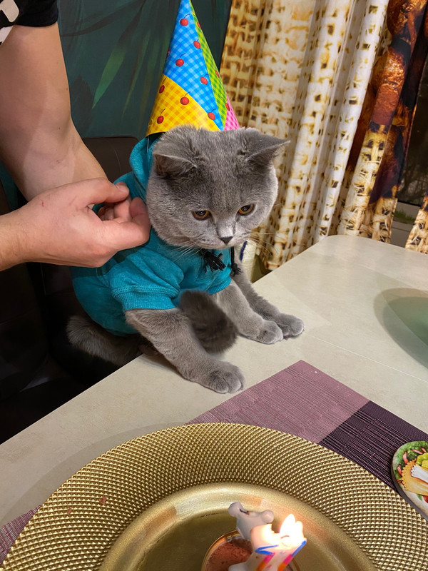 image-10-10-20-03-51-1 (1)