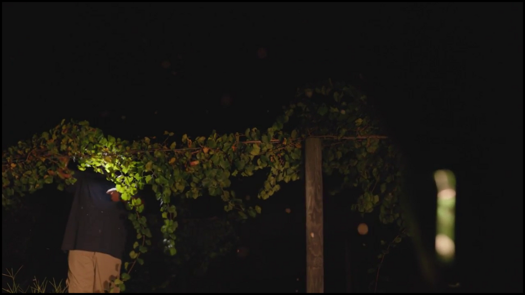 [Image: mlxe35zb97kk.png]