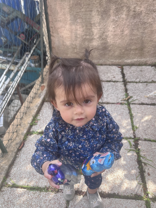 [Image: 6-BF99507-30-AE-4-F7-C-8523-A3-F52926-D357.jpg]