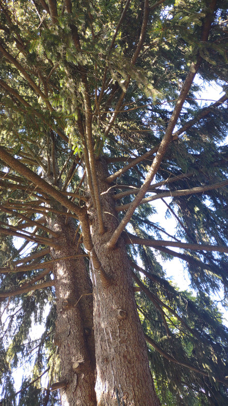 IMG_20250914_161734839