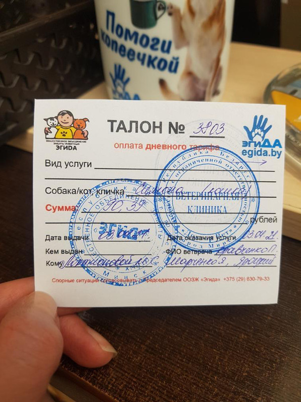 06726B80-8132-4DEA-89BB-065D4BF66D43