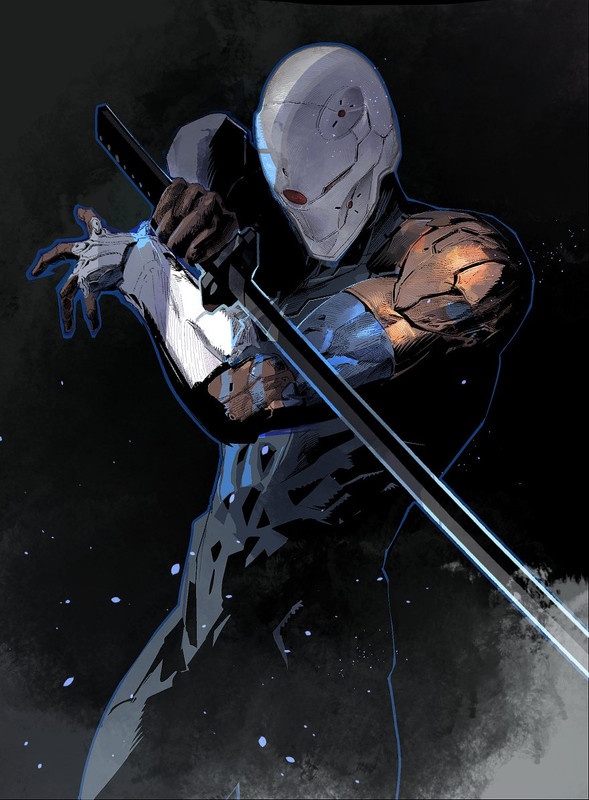 Gray-Fox.jpg