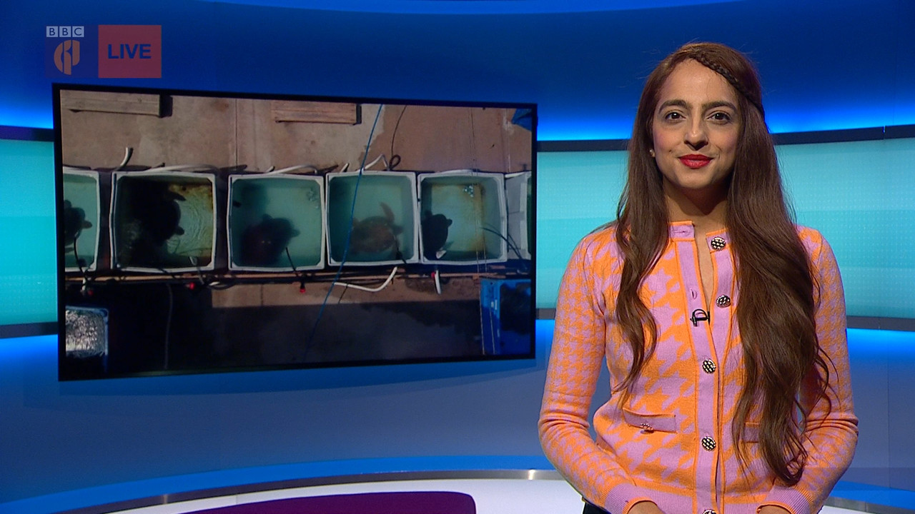 Newsround_20220319_07400750.ts_snapshot_06.42.416