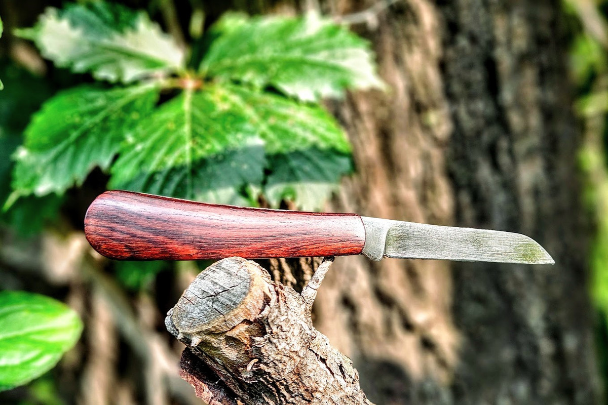 20240728_082844-EDIT (2)