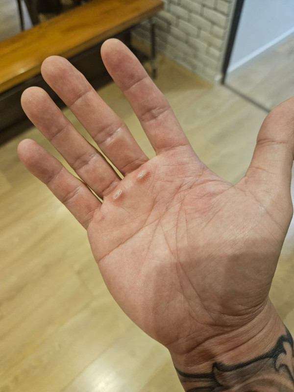 Screenshot_20240924_152223_WhatsApp