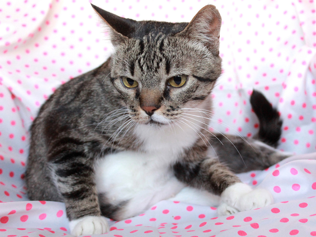 1FF97D2F-E710-4199-BDA0-066319838A28