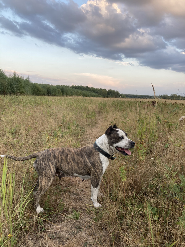 508F2A51-06A4-4520-AD05-FC71AD077072