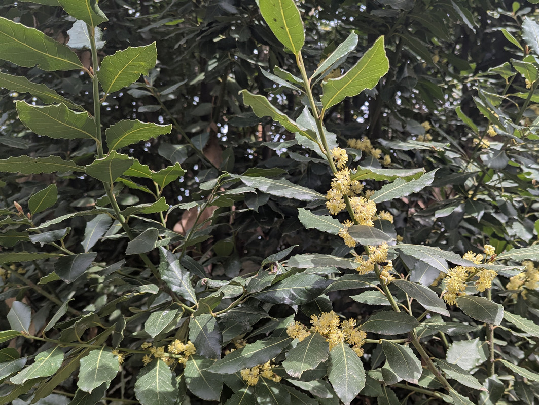 PXL_20250328_081428198